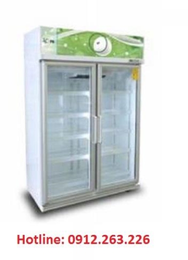 Tủ lạnh trung bày pk intertrade 2 cánh 